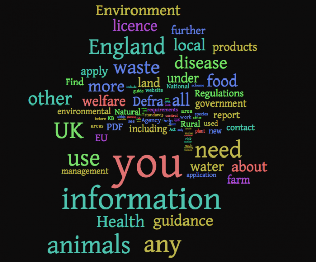 Wordcloud of GDS terms used in Defra