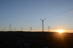 Pylons and telegraph poles