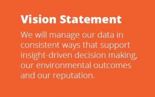 Data Vision Statement