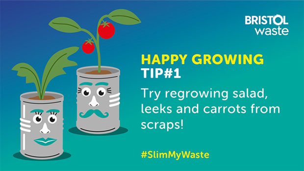 #SlimMyWaste - Happy growing tip - Try regrowing salad, leeks and carrots from scrap!