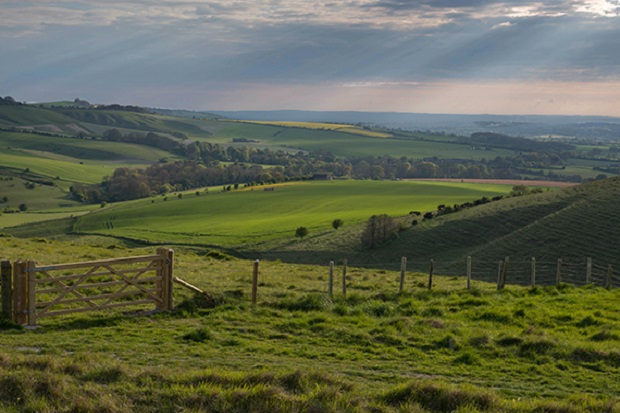 A view of rolling hills in Wiltshire. Sunbeams shine through the clouds and the landscape of fields and trees stretches across the horizon.  