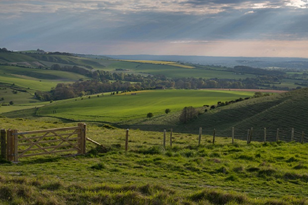 Building a team to design Defra services – Defra digital, data ...