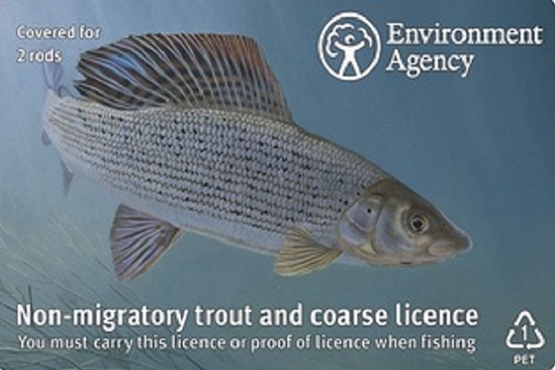 Alt text: A picture showing a fish and containing text which says ‘environment agency, covered for two rods, non-migratory trout and coarse licence, you must carry this or proof of licence when fishing’.