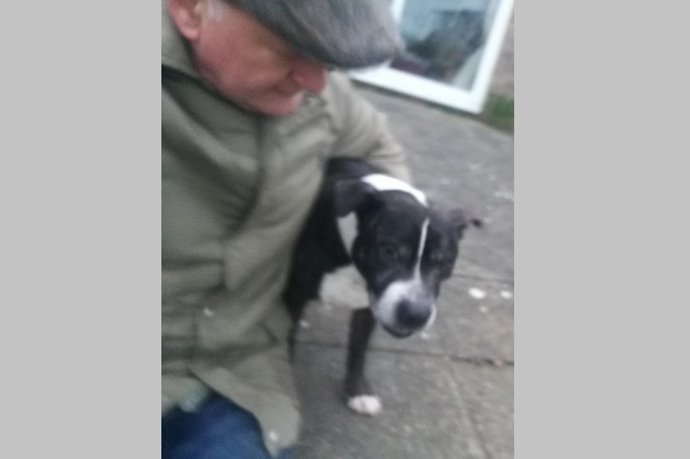 A man, wearing a grey coat and grey cap, with his arm around a small black and white terrier type dog.