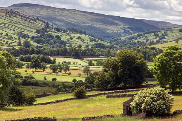 photo of fields and rolling hills 