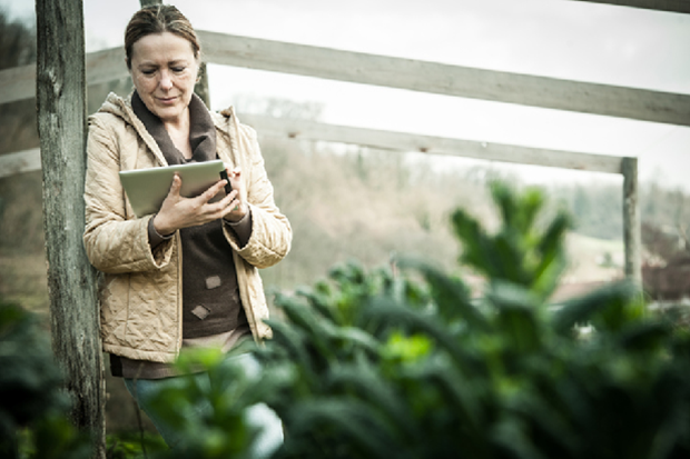 A woman standing outside, near plants using a tablet.